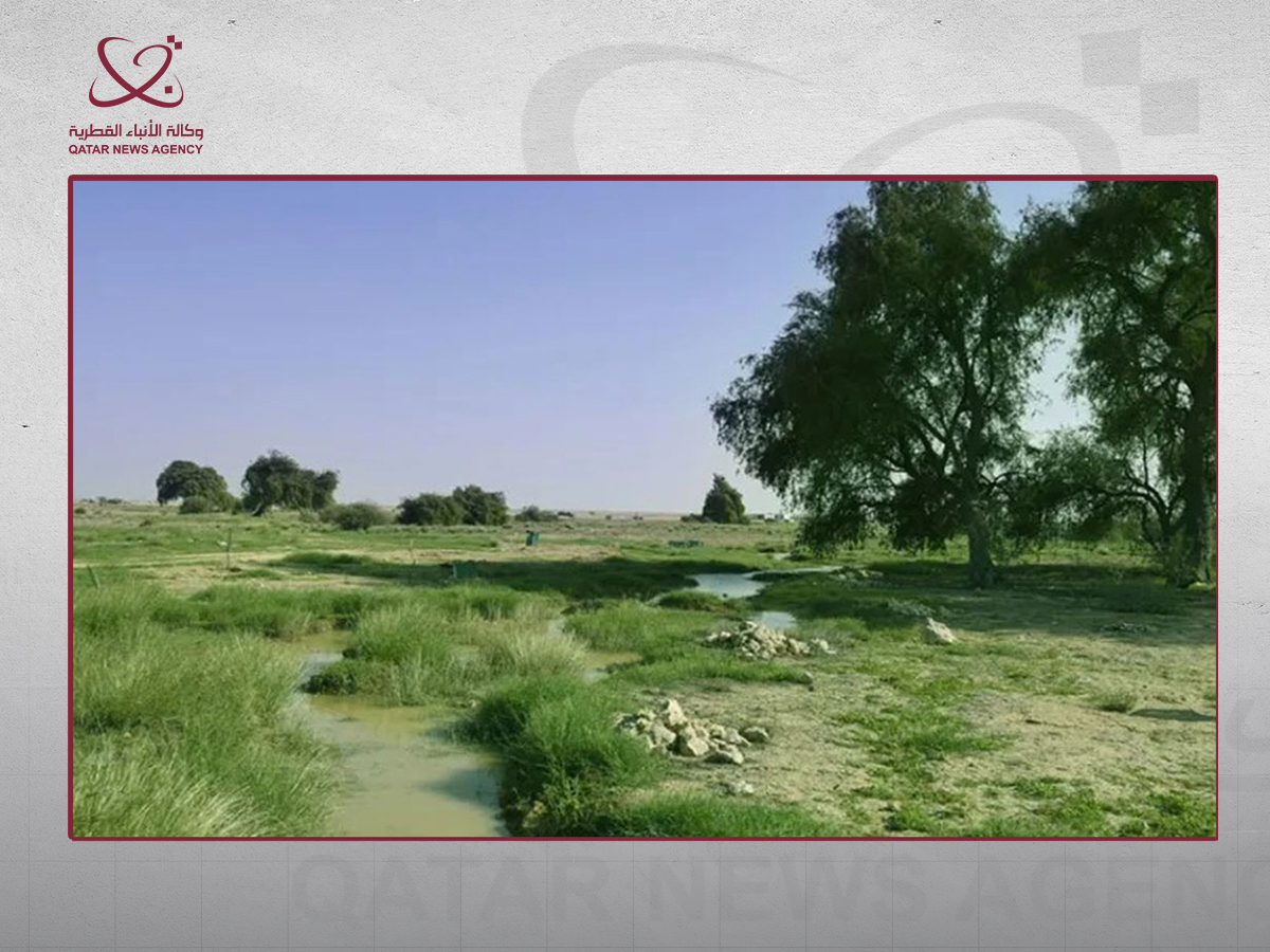 قطر تعزز جهودها للحفاظ على التوازن البيئي والتنوع البيولوجي